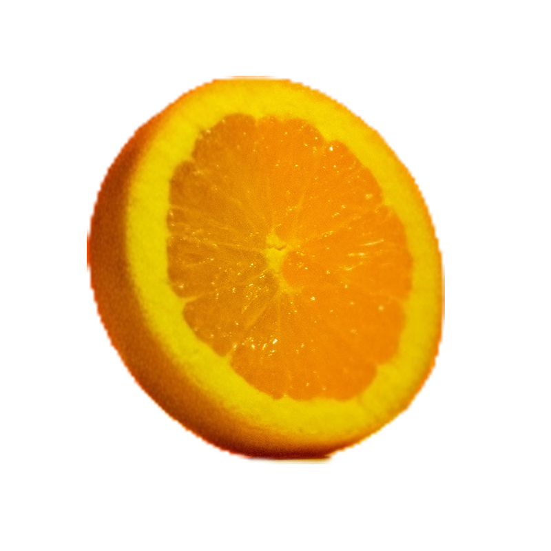 A standard orange sliced in half — the expected form